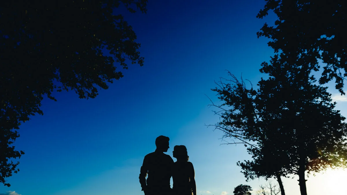 A silhouette of a couple standing under a tree.