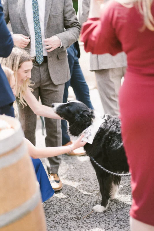 A woman is petting a dog at a wedding.