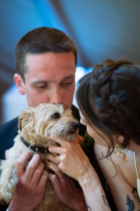 Leah and Oscar's wedding