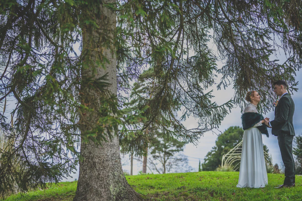 A bride and groom standing under a tree.