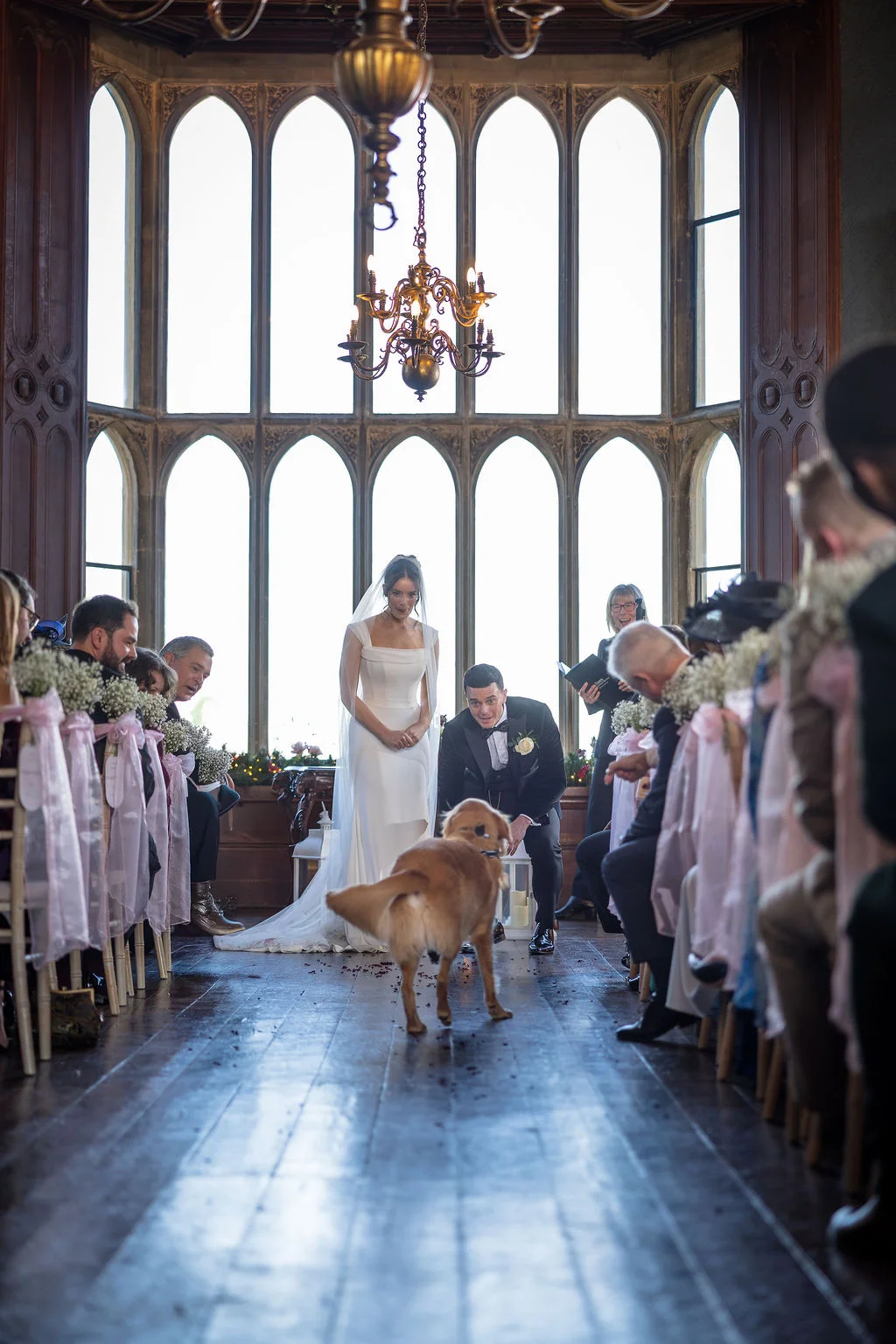 A golden retriever dog walks down the aisle towards the bride and groom during a stately home wedding ceremony.