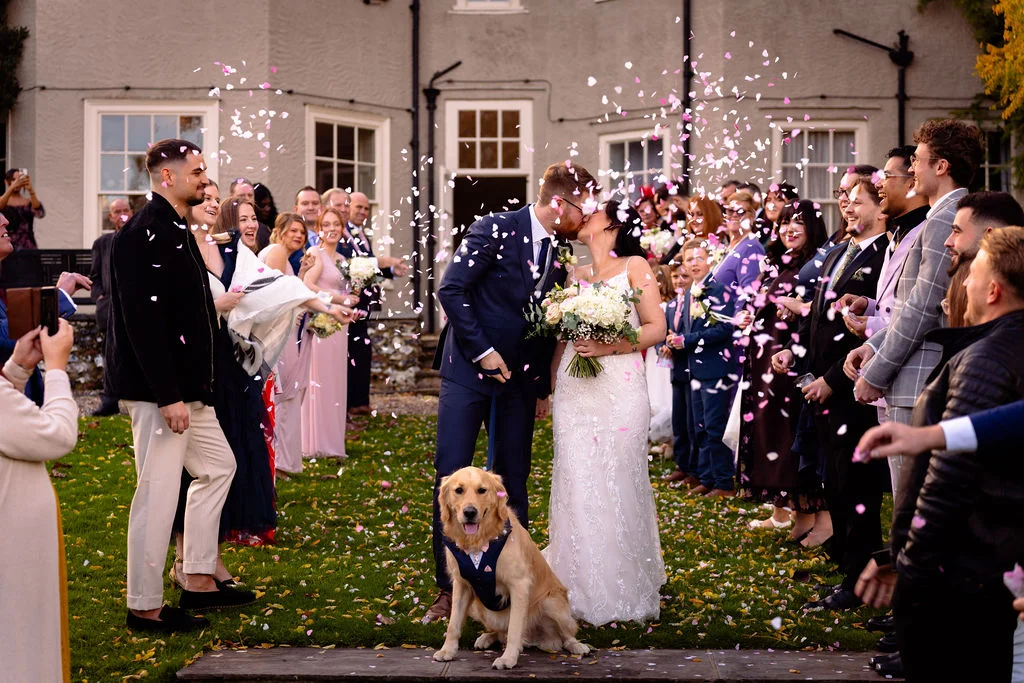 Newlyweds share a romantic kiss surrounded by cheering guests throwing pink and white confetti, while their golden retriever sits happily in the foreground.