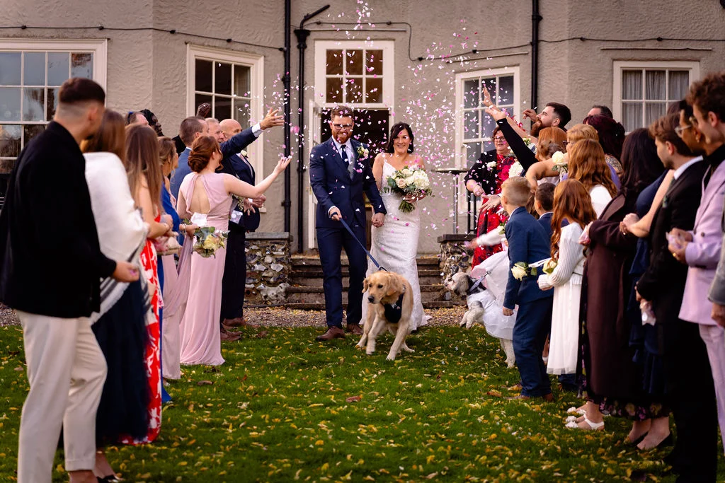 Newlyweds walk hand in hand down a grassy aisle with their golden retriever as cheering guests shower them in colourful confetti outside a stone country house.
