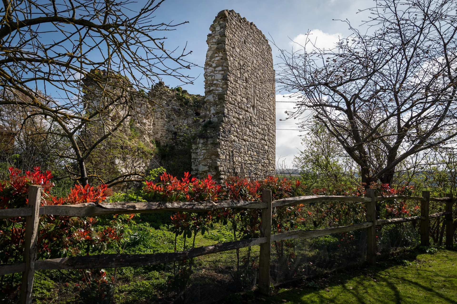 Ancient stone castle ruins stand majestically behind a rustic wooden fence and vibrant red foliage under a bright blue spring sky.