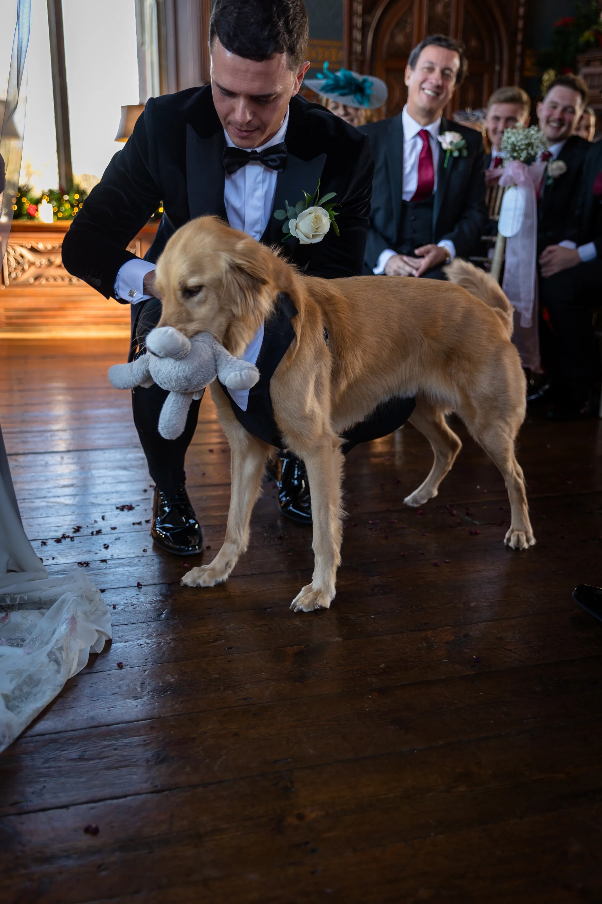 A groom in a black velvet tuxedo smiles as a golden retriever wearing a matching bow tie holds a toy inside a wooden venue.