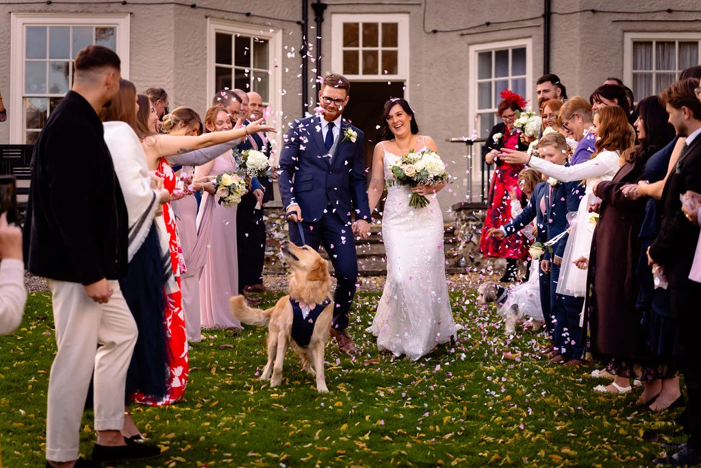 Newlyweds walk hand in hand down an aisle of cheering guests while pink confetti is thrown over them, accompanied by their golden retriever wearing a bow tie.