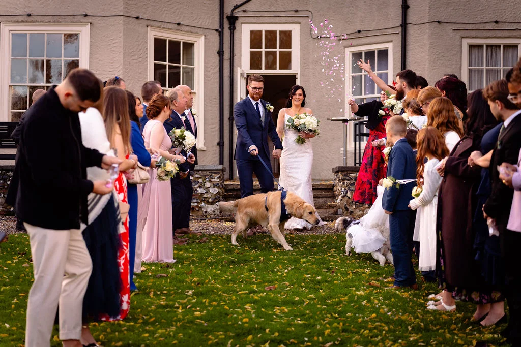 A newlywed couple walks out of a country house venue surrounded by wedding guests throwing confetti, accompanied by their golden retriever dog on a leash.
