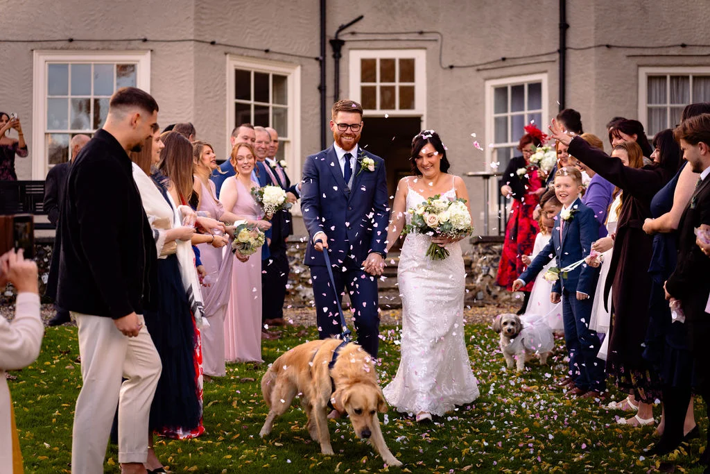 Newlyweds walk down the aisle hand in hand amidst a shower of confetti, accompanied by their golden retriever on a leash in front of a grand country house.