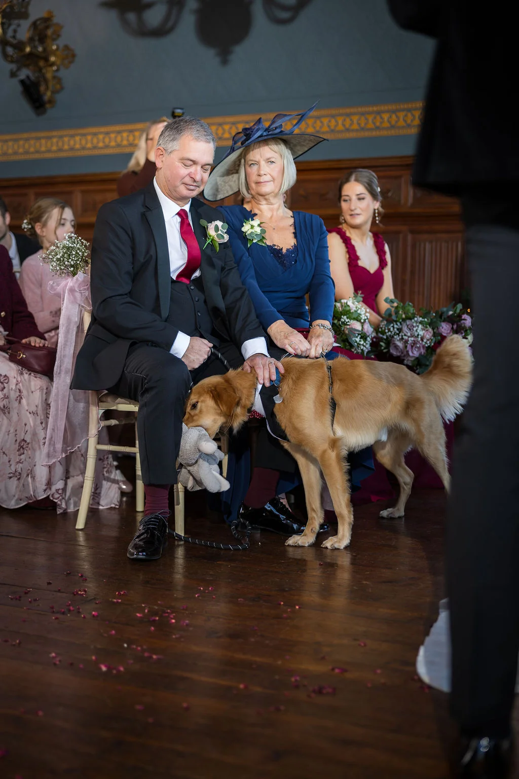 A well-dressed wedding guest sitting next to a woman in a blue dress and large fascinator, while a golden retriever dog wearing a harness playfully holds a stuffed toy near his feet during the ceremony.