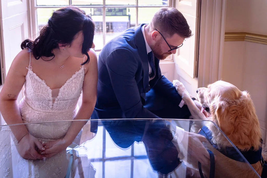 A bride in a lace gown and a groom in a navy suit kneeling down to greet their golden retriever by a sunny window.