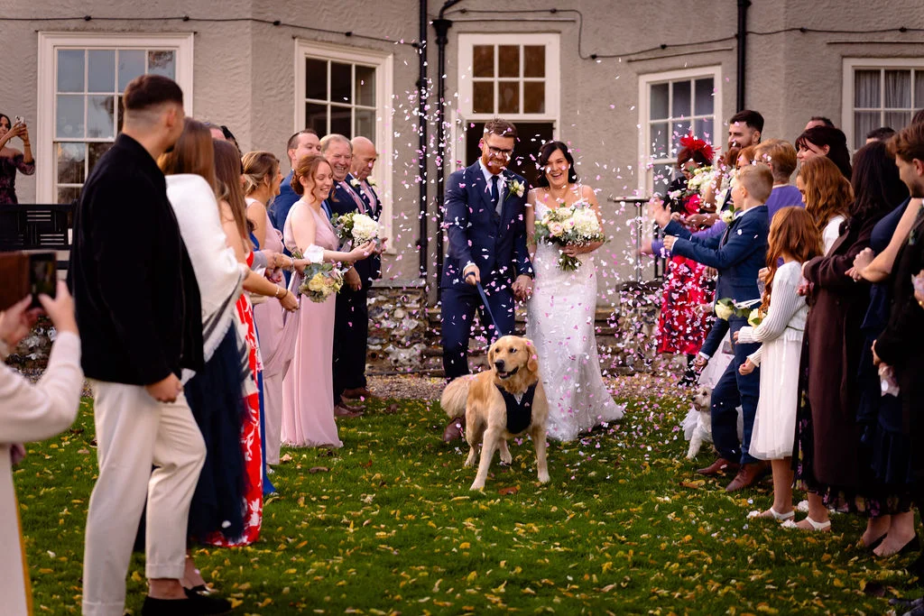 Newlyweds walk hand in hand down a grassy path outside a country house while guests throw colourful confetti over them and their golden retriever.