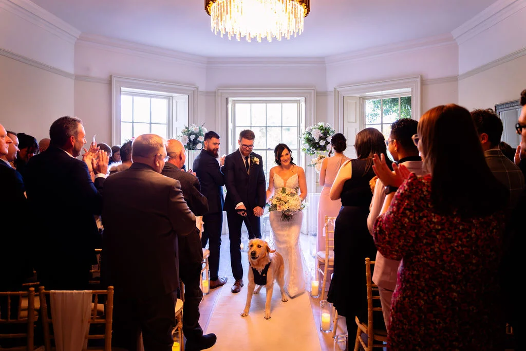 Newlyweds walk down the aisle together after their ceremony, accompanied by their golden retriever dog wearing a formal harness, as guests applaud from their seats.