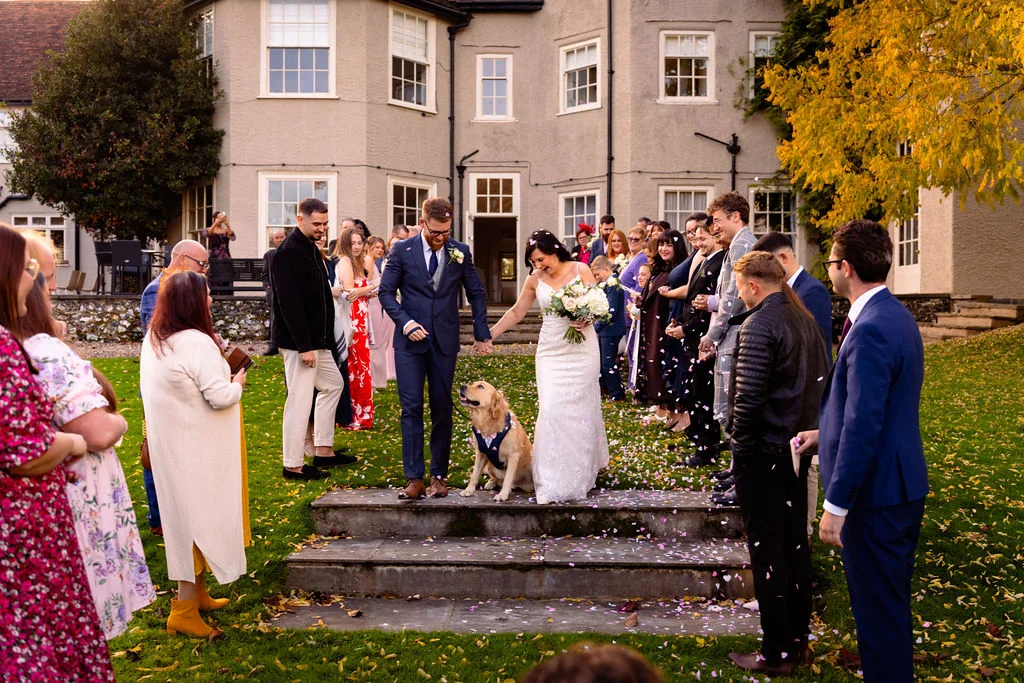 A newlywed couple walks hand in hand down stone steps outside a country house during an autumn confetti throw, accompanied by a golden retriever wearing a bow tie.