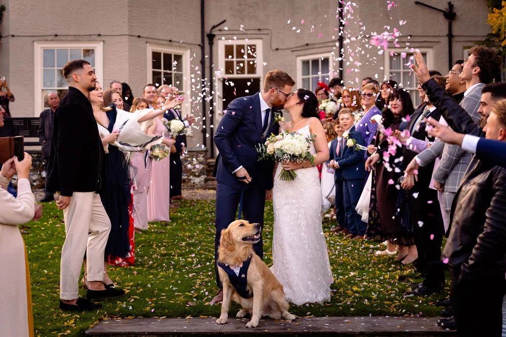 Newlyweds share a romantic kiss while guests cheerfully throw pink confetti over them and their golden retriever wearing a bow tie on the lawn of a country house.