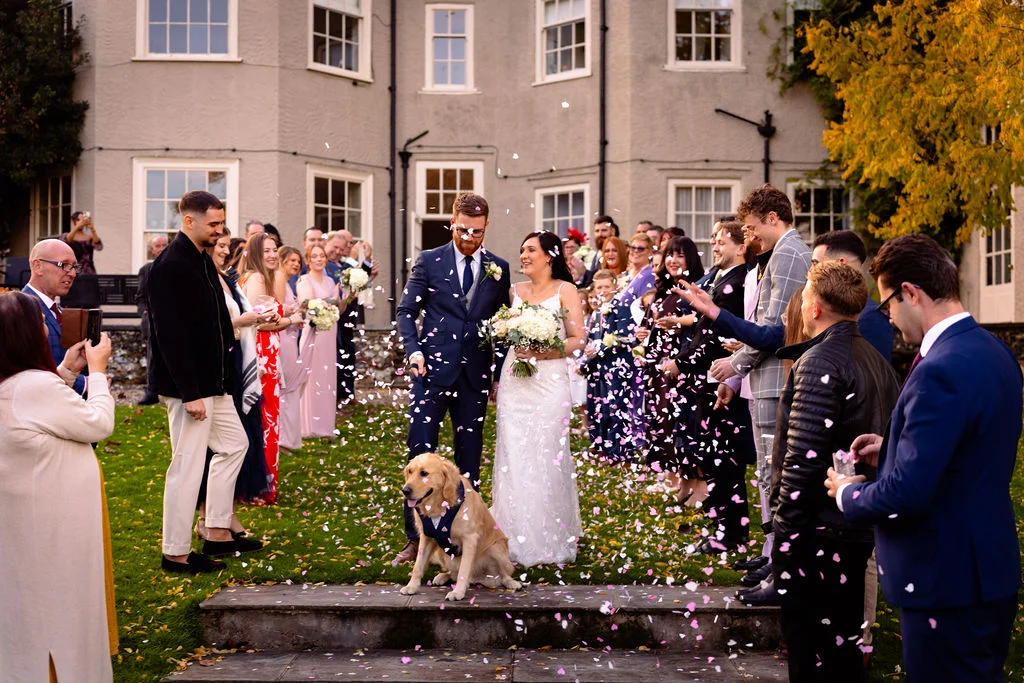 A newlywed couple walks hand in hand through a shower of confetti outside a grand country house, accompanied by their golden retriever wearing a bow tie.