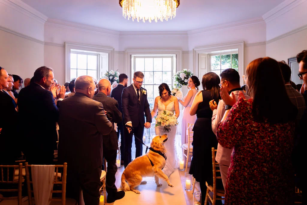 Newlywed couple walk down the aisle hand in hand, accompanied by their golden retriever, amidst cheering guests in a bright manor house ceremony room.