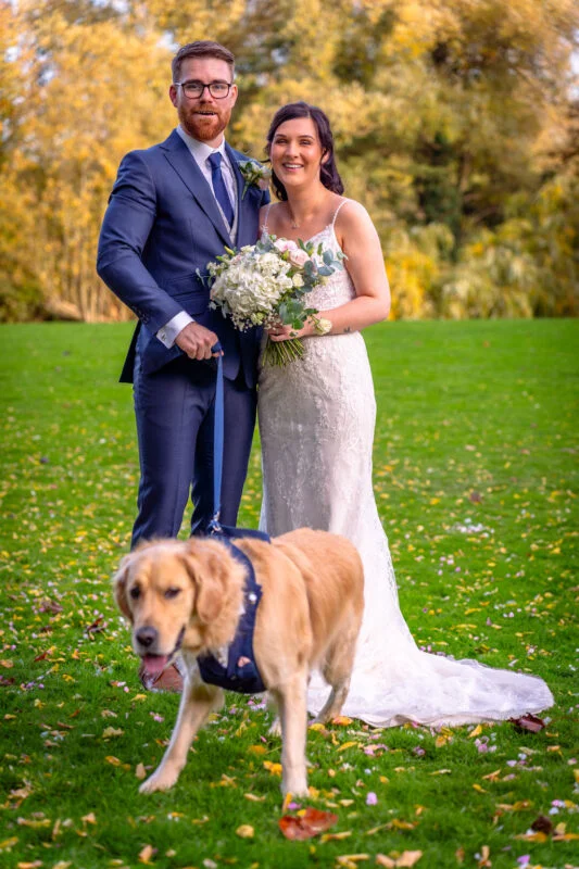 A newlywed bride and groom smile outdoors on a grassy lawn during autumn, accompanied by their golden retriever dog wearing a blue harness and bow tie.