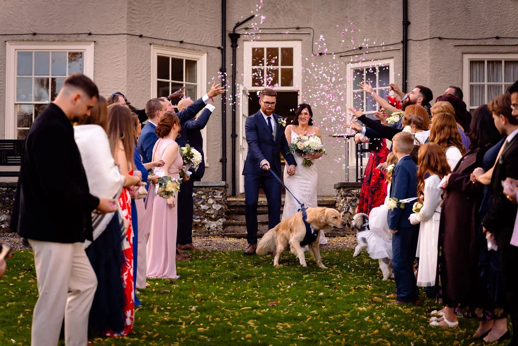 Newlyweds walk down the aisle amidst a shower of confetti held by cheering guests, while their golden retriever on a lead joins them on the lawn.