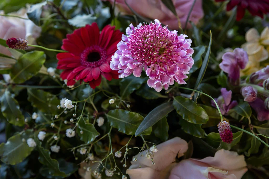 A close-up view of a vibrant wedding floral arrangement featuring a bright pink scabiosa bloom and a deep red gerbera daisy nestled amongst greenery and white baby's breath.