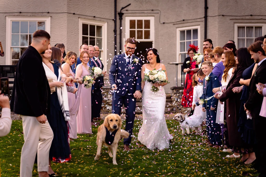 Newlyweds walk hand in hand down the lawn of a country house as guests throw confetti, accompanied by their excited golden retriever.