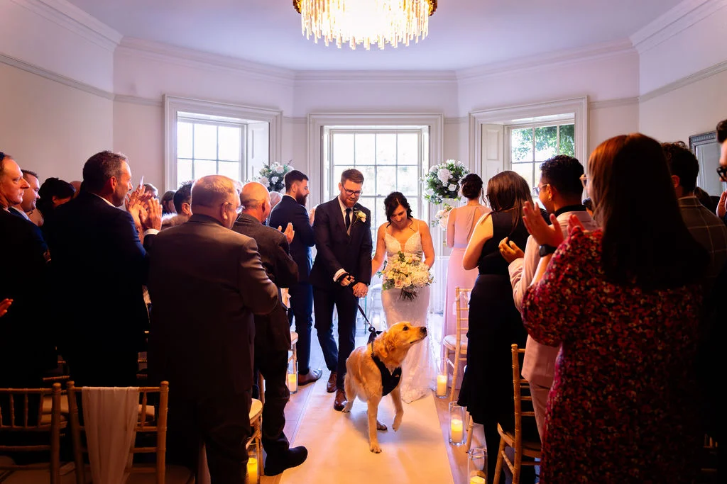 Newlyweds walk down the aisle together accompanied by their golden retriever wearing a harness as guests cheer and applaud from seated chairs.
