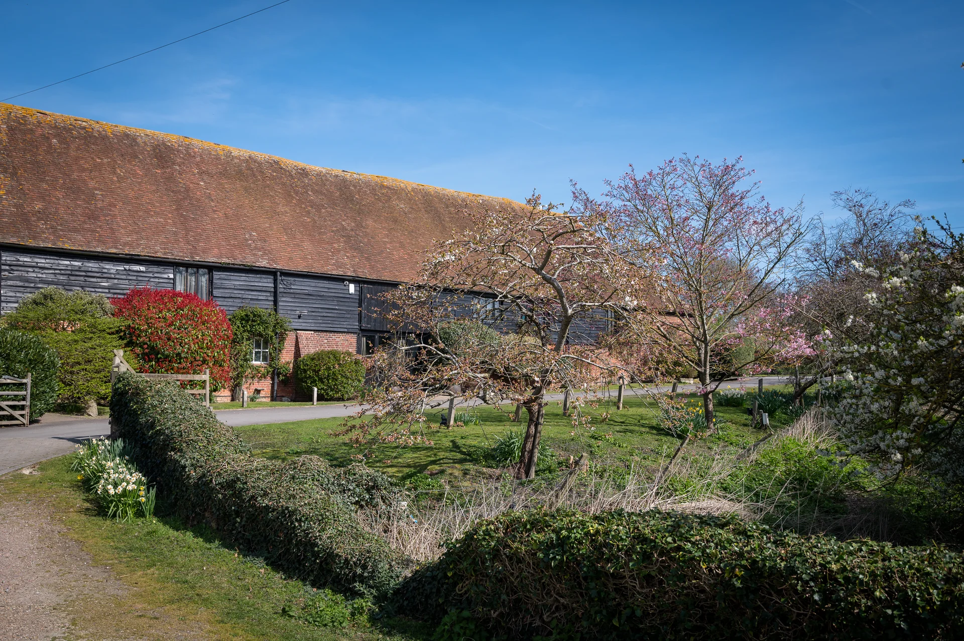 A picturesque rustic barn venue sits beneath a bright blue spring sky, surrounded by manicured grounds and blooming cherry blossom trees.