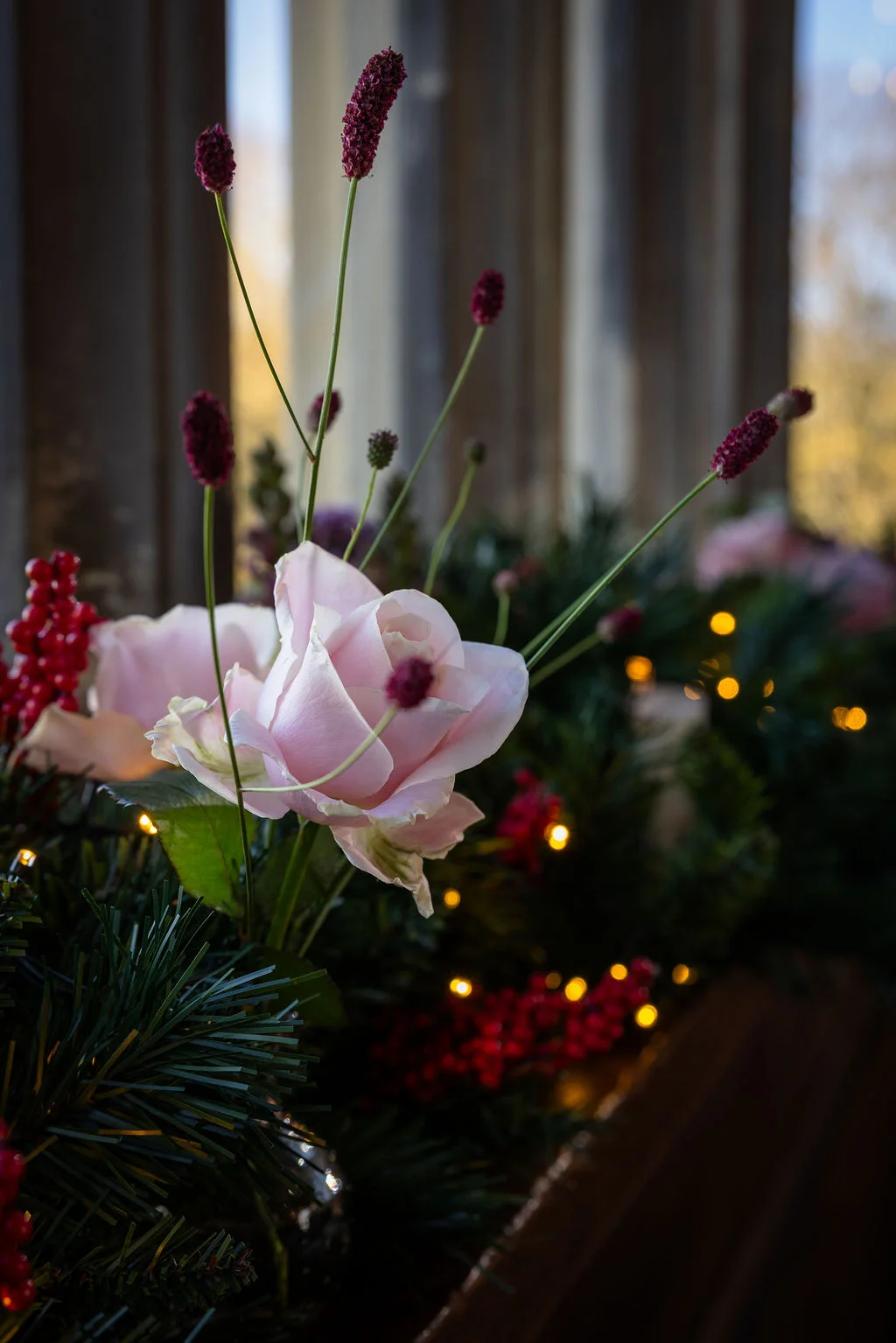 A close-up shot of a festive wedding floral arrangement featuring pale pink roses, slender dark red burnet stems, and deep green foliage interwoven with warm fairy lights on a window sill.