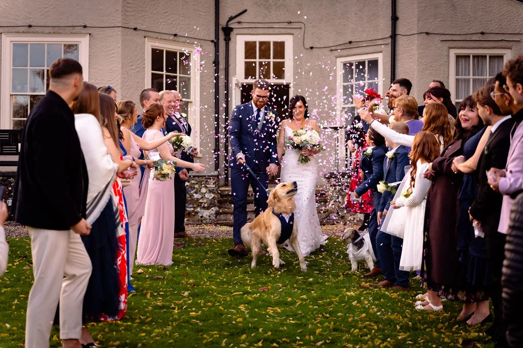 Newlyweds walk through a cheerful crowd of wedding guests tossing pink confetti outside a grand country house, accompanied by an excited golden retriever on a leash.
