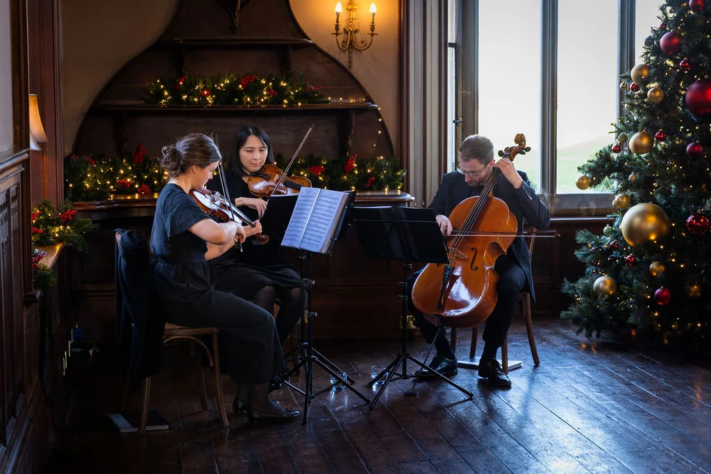 A string trio comprising two violinists and a cellist perform in a wood-panelled room decorated with a festive Christmas tree and twinkling lights.