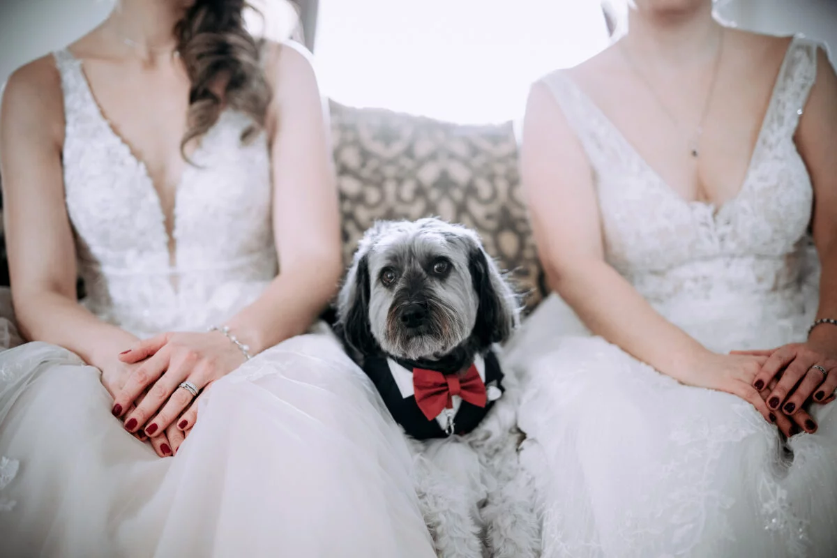 Two bridesmaids sitting on a couch with a dog in a bow tie.