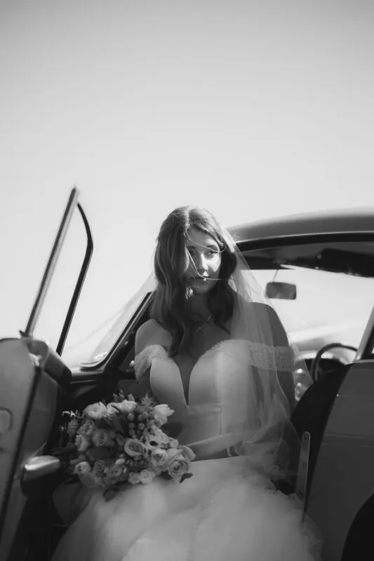 PLUM3084-Edit