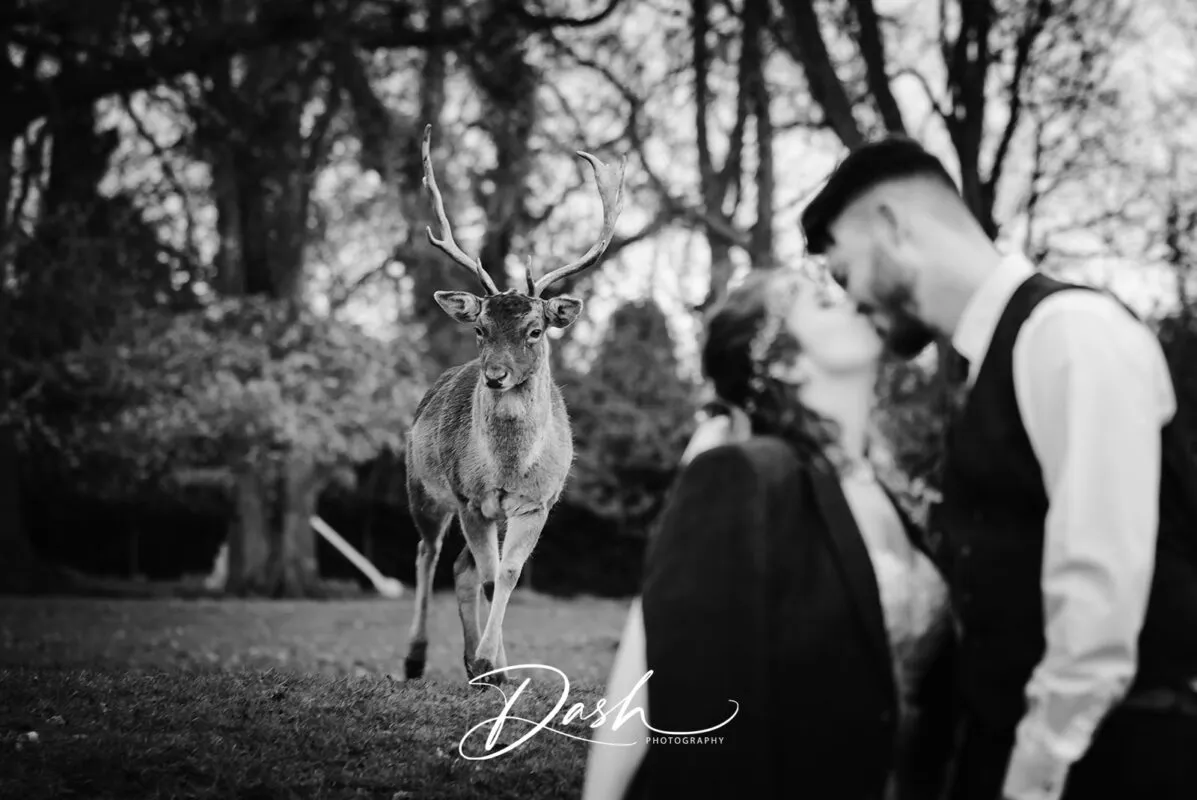 Jessica & Dillon