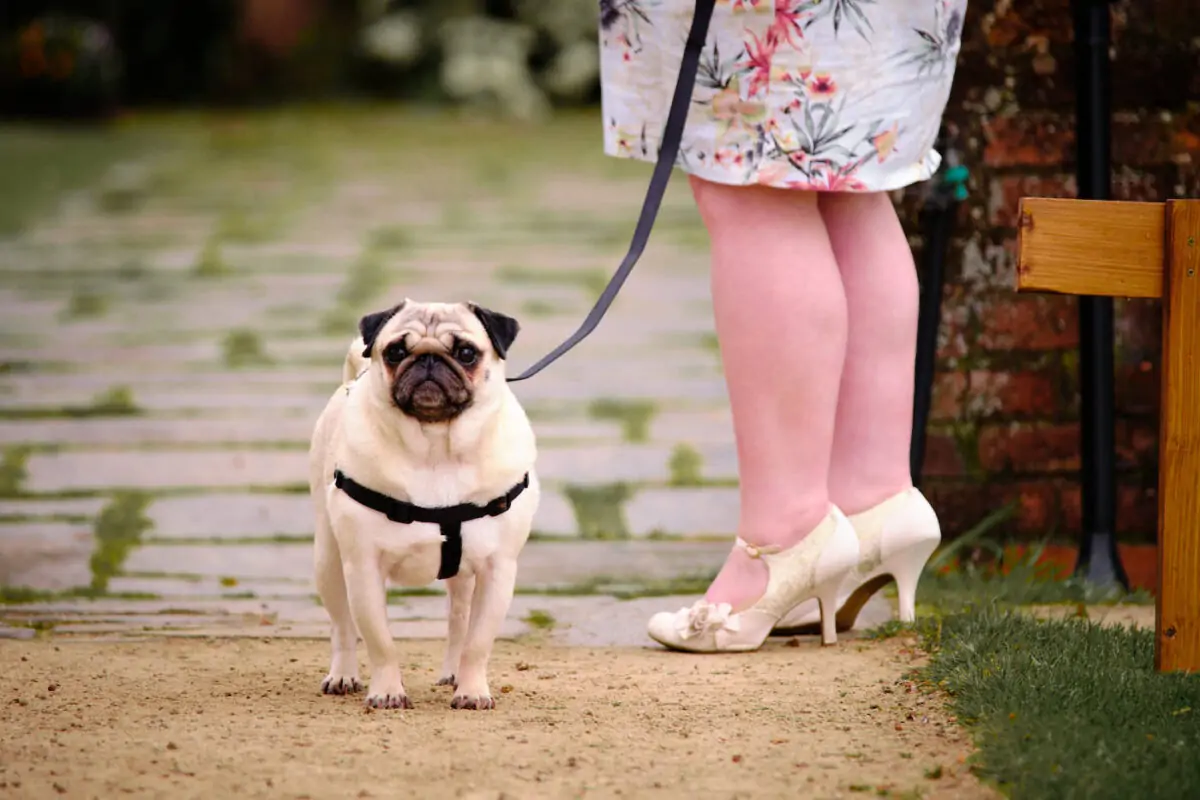 wedding_photographer_birmingham-0023