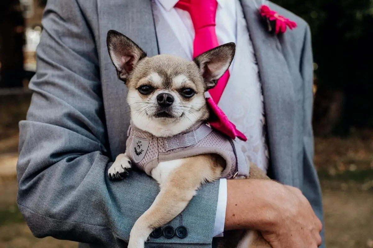 wedding_photographer_birmingham-0074