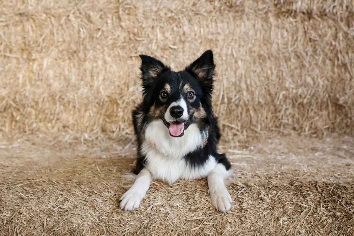 Owen House Wedding Barn