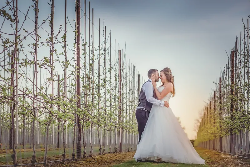 The Barnyard wedding in Kent