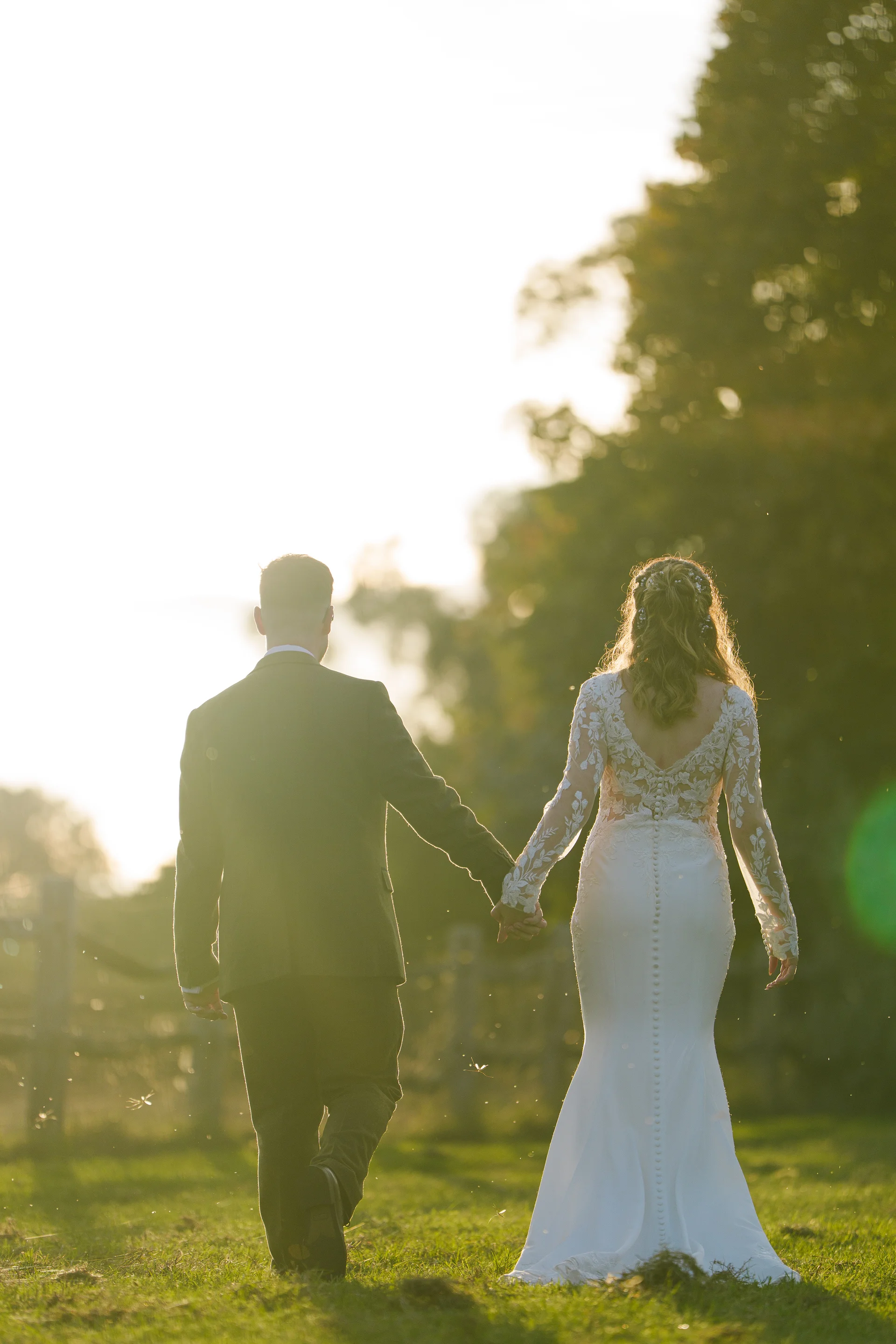 A newlywed couple walks hand in hand across a sunlit field, captured from behind during golden hour with warm backlighting.