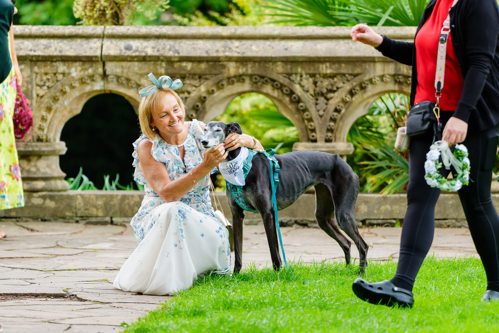 A wedding guest wearing a floral dress and a pale blue fascinator kneels to stroke a greyhound wearing a bandana outdoors near an ornate stone balustrade.