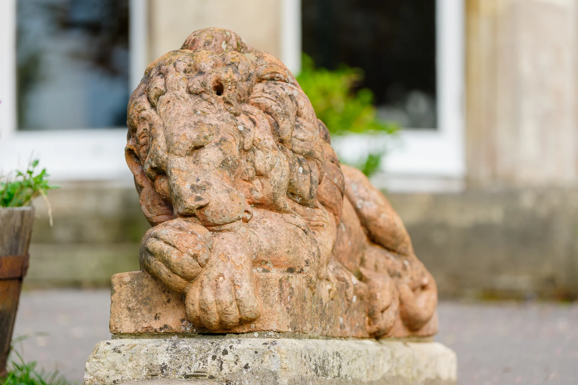 An ornate stone lion statue rests on a weathered pedestal outside a historic wedding venue with a soft-focus background.