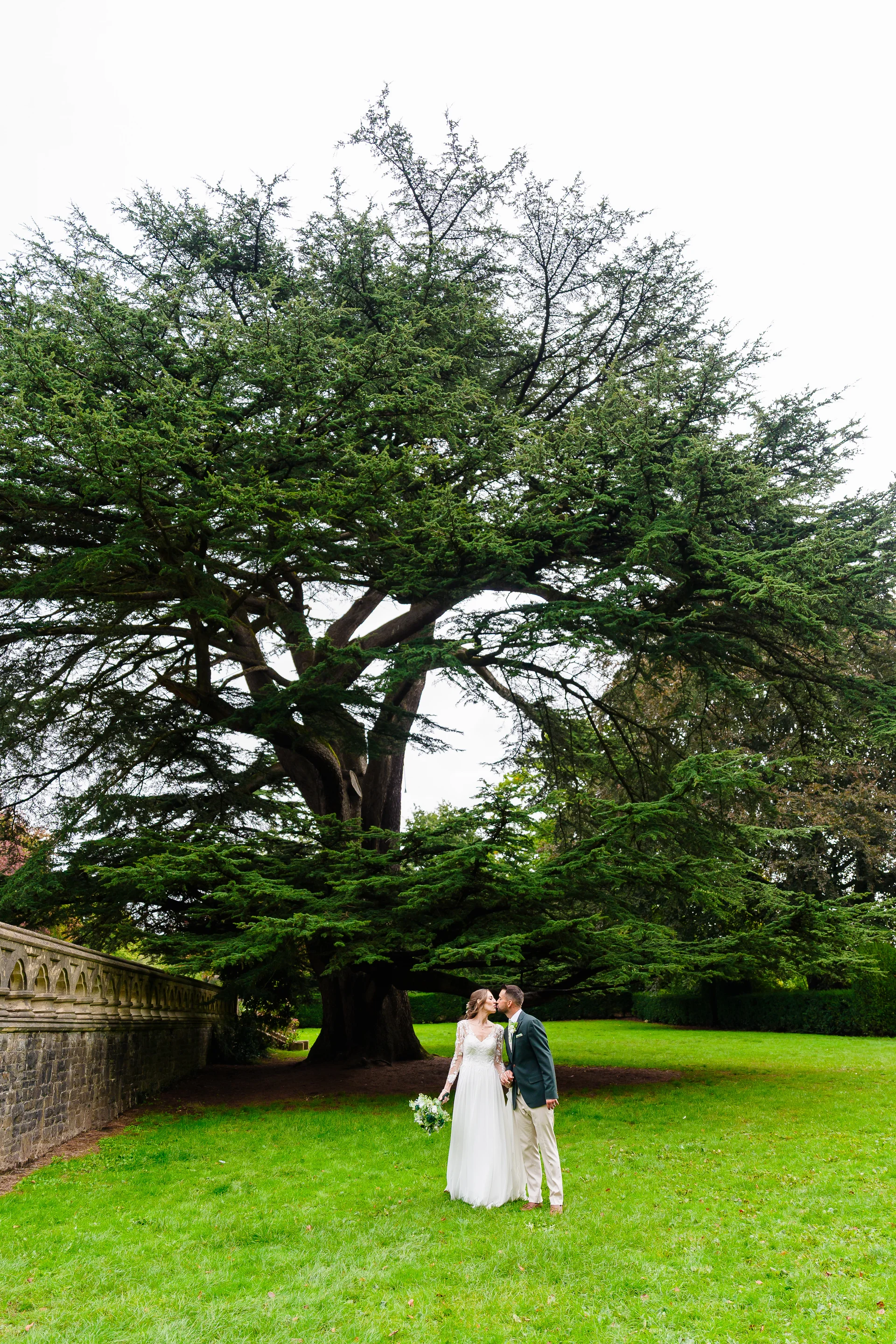 A newlywed couple shares a tender kiss standing on a lush green lawn beneath the massive canopy of an ancient tree.