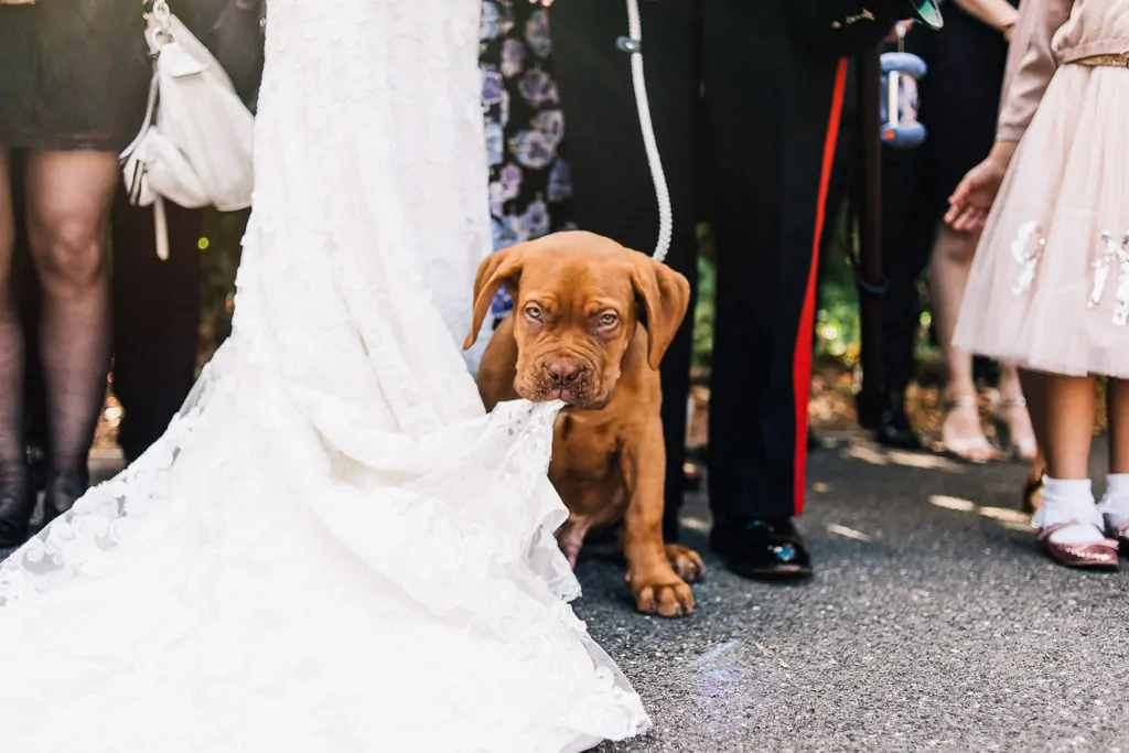 0073 weddisimo-71