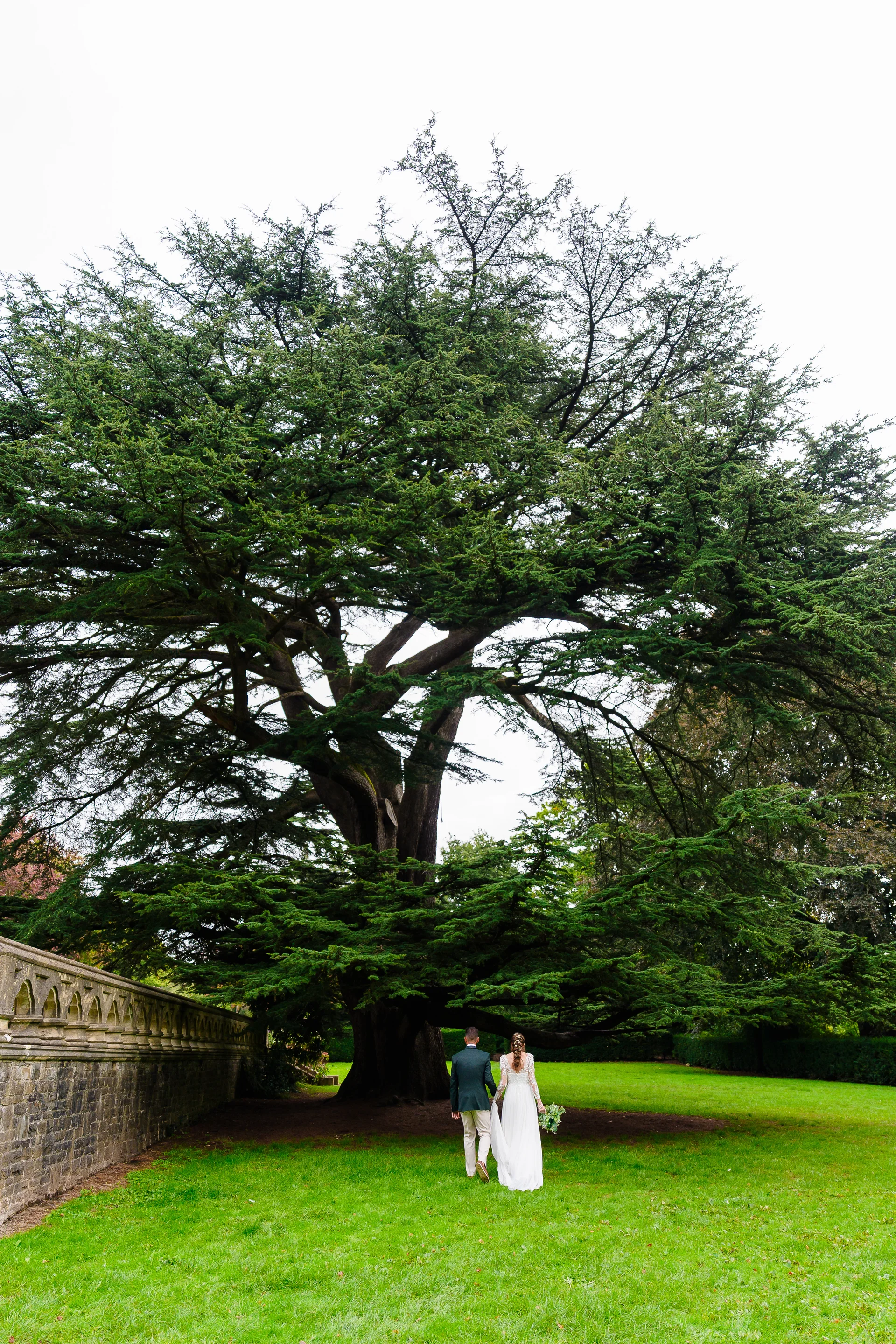 A newlywed couple walk hand in hand across a vast green lawn beneath a massive, spreading ancient tree next to a historic stone wall.
