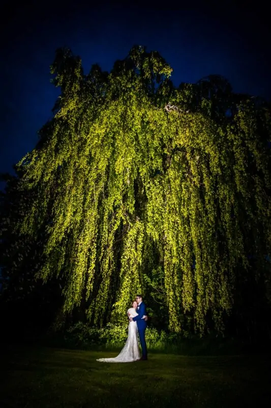 A newlywed couple embrace underneath a massive illuminated weeping tree during an atmospheric night portrait session.