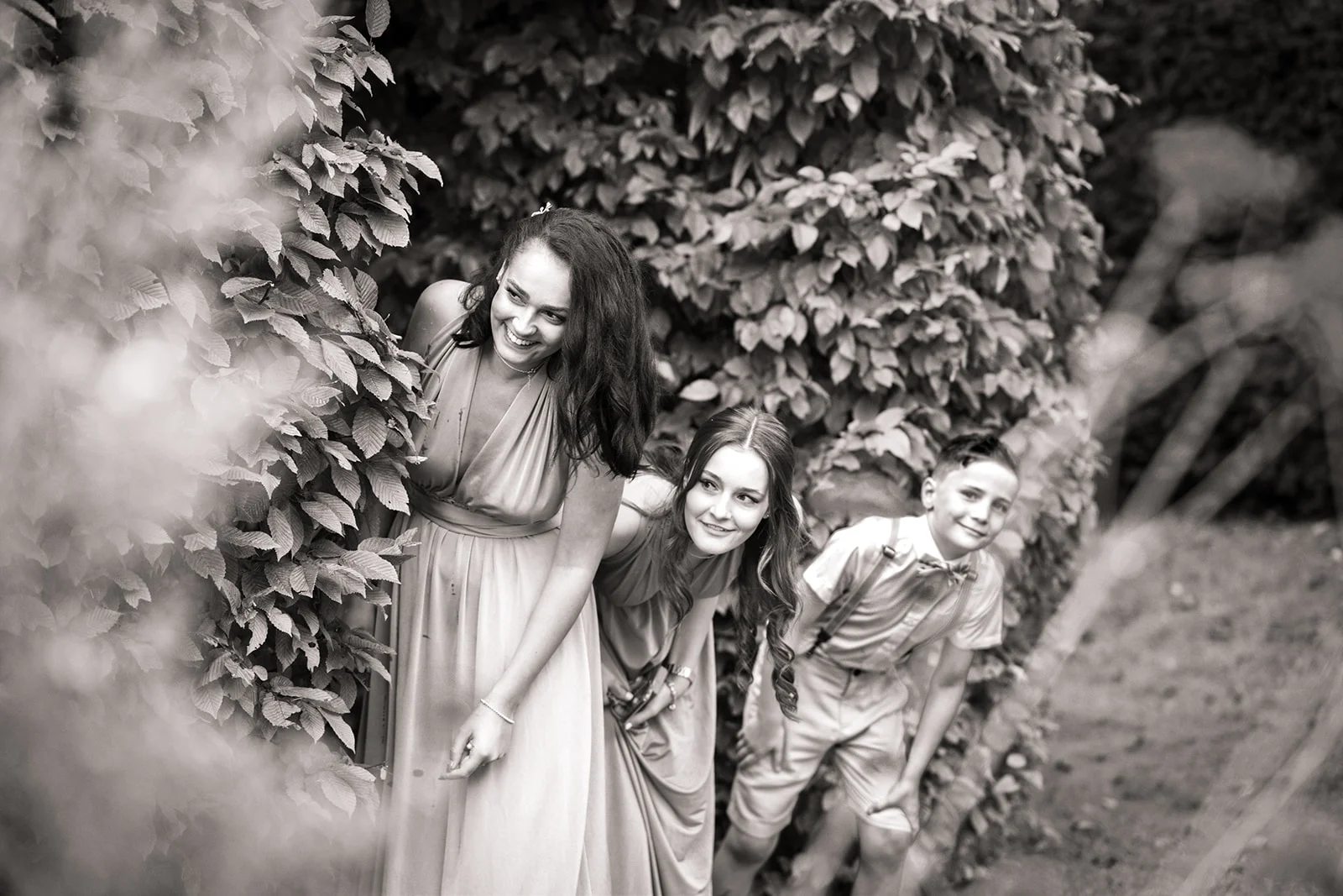 weddisimo