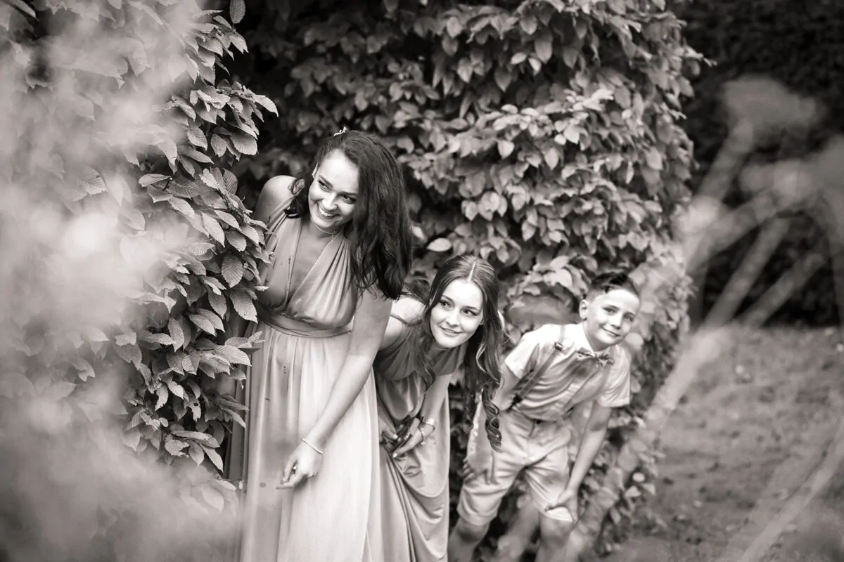 weddisimo