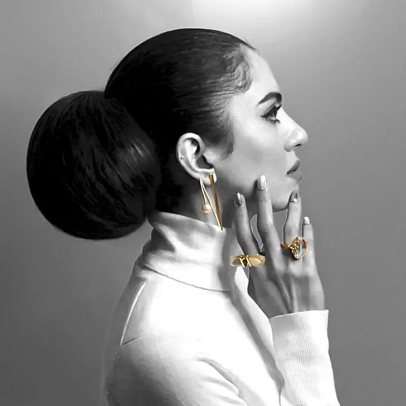 Sleek hairstyle big hair bun