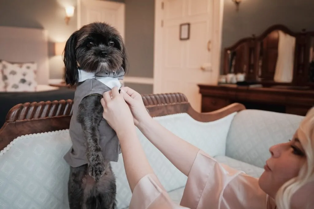 Doggy tux