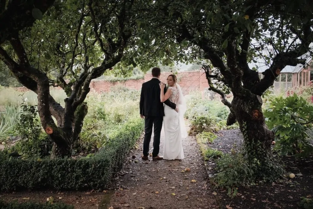 Apple trees look back wide