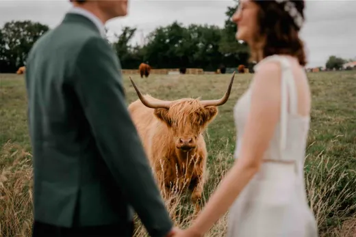 Owen + Emily - Sneak Peaks-8