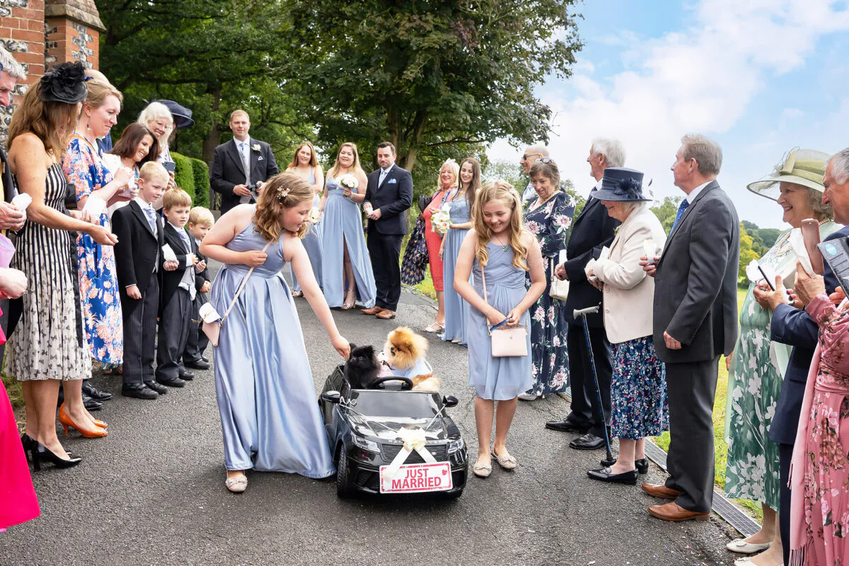 Bridal-Dogs (listing)